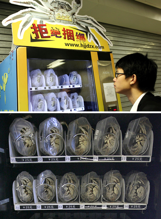 中国江蘇省南京市の主要な地下鉄駅に設置された、生きたカニの自動販売機