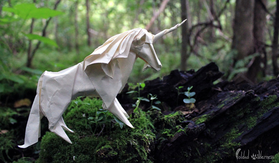 The Magical Unicorn　by FoldedWilderness