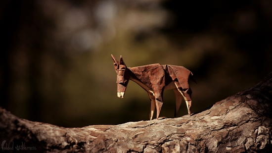A Donkey's Journey　by FoldedWilderness