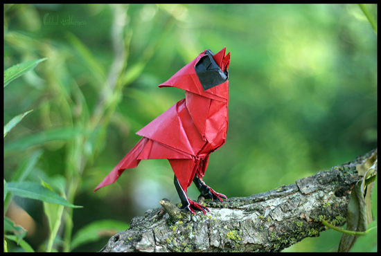 Origami Singing Cardinal　by FoldedWilderness