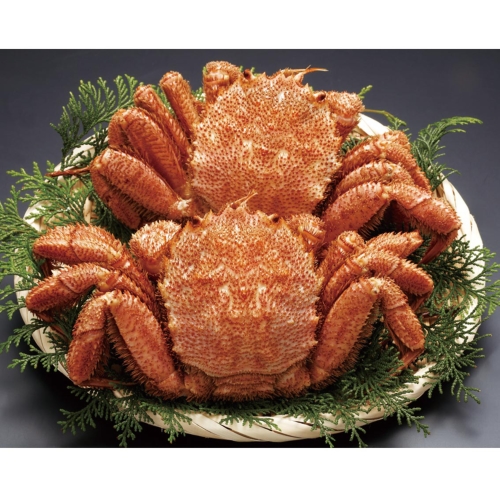 ノベルティ：[食品ギフト] 北海道産ボイル毛がに2尾800g