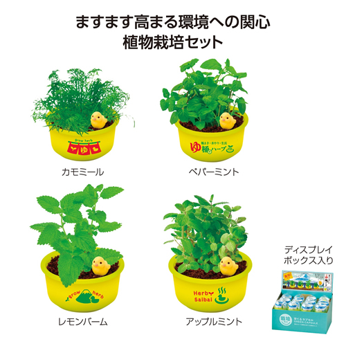 ノベルティ：[栽培セット] 育てるカプセル ゆ桶でハーブ栽培