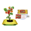 ノベルティ：[栽培セット] タネッコヌーボー プチトマト