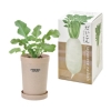 ノベルティ：おうちで根菜栽培セット