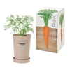 ノベルティ：おうちで根菜栽培セット