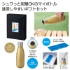ノベルティ：シュワっと爽快  炭酸ステンレスボトルセット