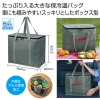 ノベルティ：大きな保冷温ボックスバッグ