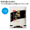 ノベルティ：[お米ギフト] 新潟産こしひかり1kg