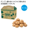 ノベルティ：[食品ギフト] ごろっとたっぷり 北海道産じゃがいも1.5kg