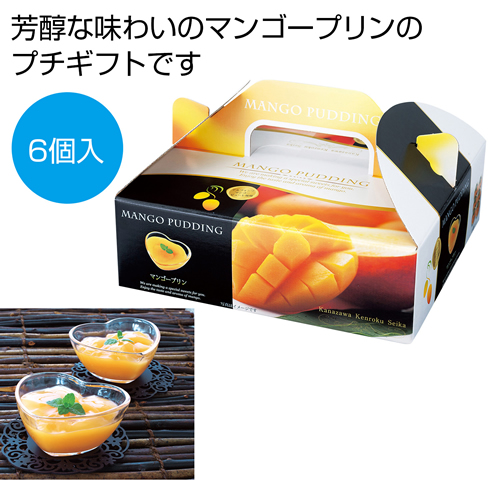 ノベルティ：[お菓子ギフト] マンゴープリンBOX6個