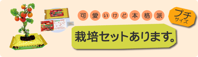 可愛いけど本格派！プチサイズの栽培セットはいかがですか？