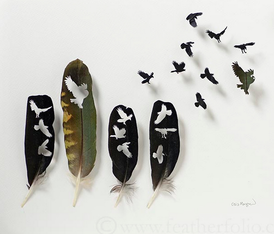 <Chris Maynard>