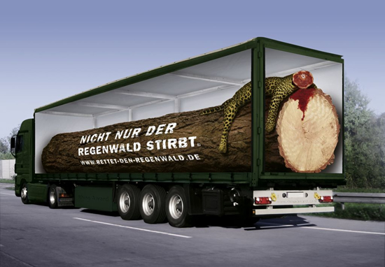 タイトル:Not only is the rainforest die