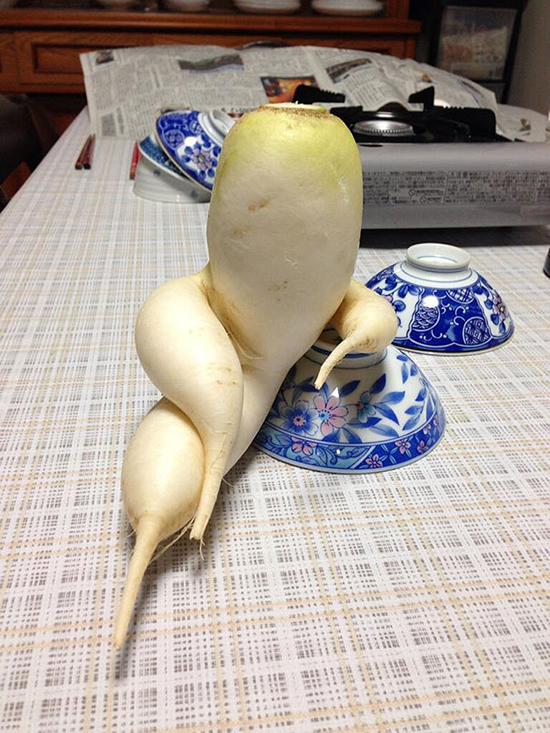 奇妙な形に思わずニッコリ、有り得ない野菜が面白すぎるw