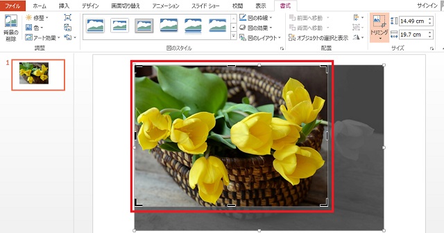<パワーポイント> 任意のサイズや形に画像補正できる便利ワザ