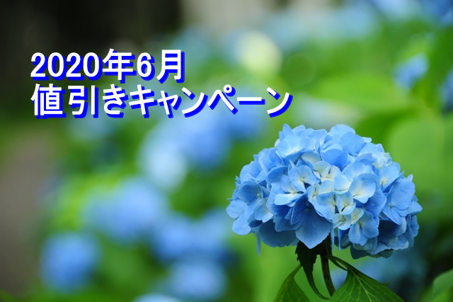 ＜夏の販促 第二弾＞ 真夏の商戦を盛り上げるノベルティ特集／2020年