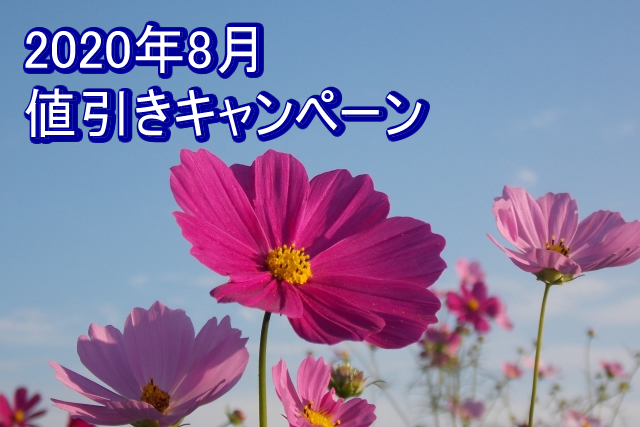 夏の終わりの大特価、初秋の消費を後押しするノベルティ特集／2020年