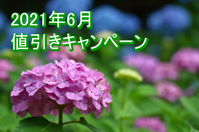 ＜夏の販促 第二弾＞ 真夏の商戦を盛り上げるノベルティ特集／2021年