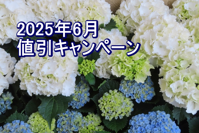 ＜夏の販促 第二弾＞真夏のお勧め商品値引き特集/2025年